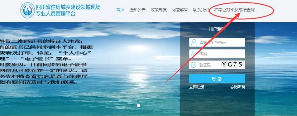 3.webp.jpg